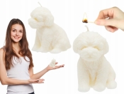 Powiększ